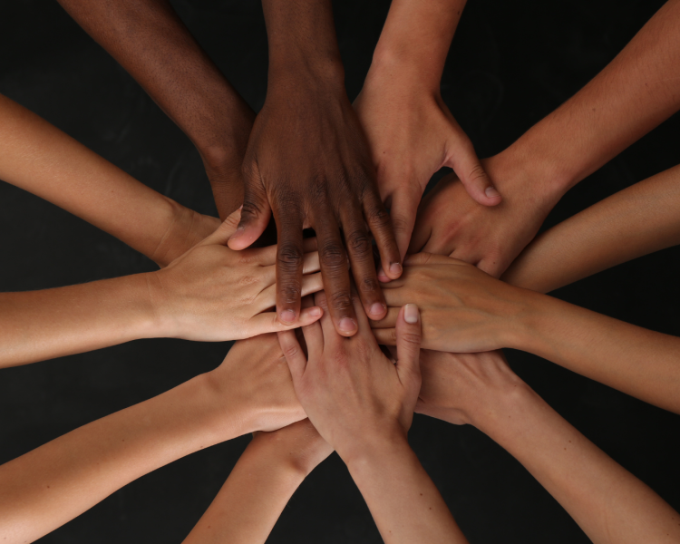 اليوم الدولي للأخوة الإنسانية: دعوة للسلام والتعايش بين الجميع