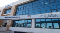 وزارة الزراعة: فتح باب استيراد الليمون لشهرين نظراً لارتفاع الأسعار