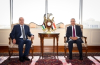وزير‎ الخارجية المصري يبحث مع نائب الرئيس الفلسطيني الوضع في غزة