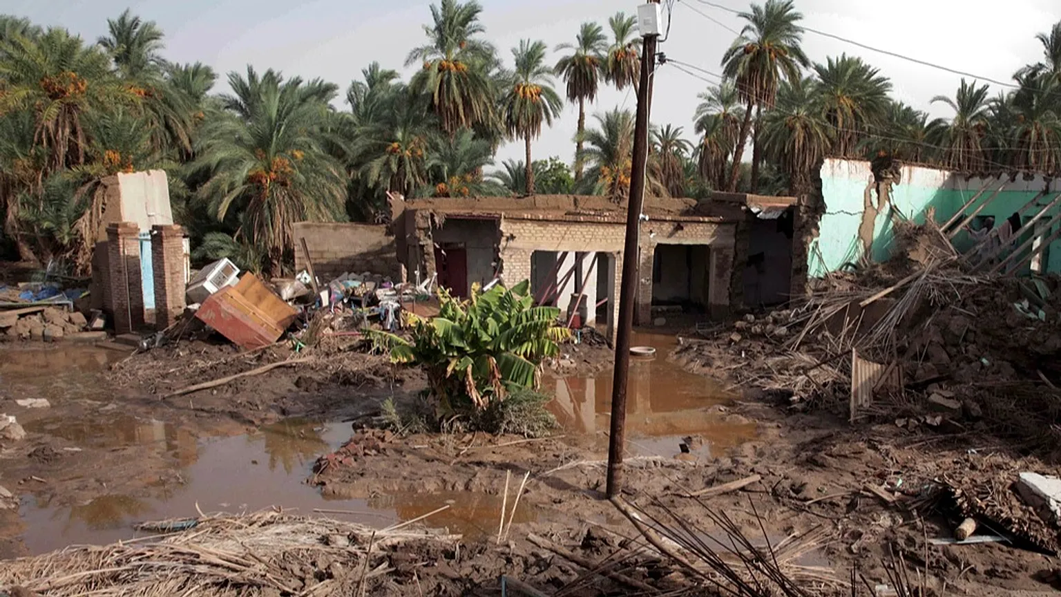 أكثر من ألف قتيل في انهيار أرضي بجبال مرة في دارفور.. ماذا حدث؟
