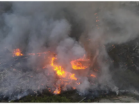 حرائق اللاذقية تعود من جديد