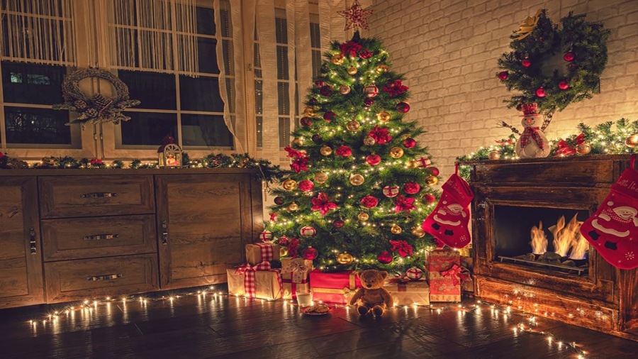 شجرة عيد الميلاد.. رمز الحياة المتجددة 