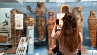 هل تعرف كيف تحافظ المتاحف على تاريخ الإنسانية وتثري ثقافتنا؟