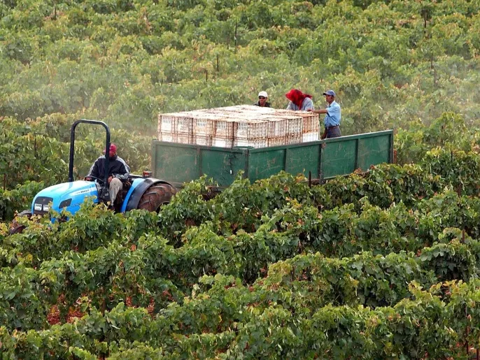 المغرب يترقب نمو الاقتصاد بدعم الزراعة وتحديات الطاقة