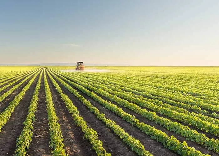 السعودية تعزز الاكتفاء الغذائي لمواجهة التحديات العالمية