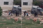 غضب بعد اعتداء جندي اسرائيلي على طفل فلسطيني برام الله