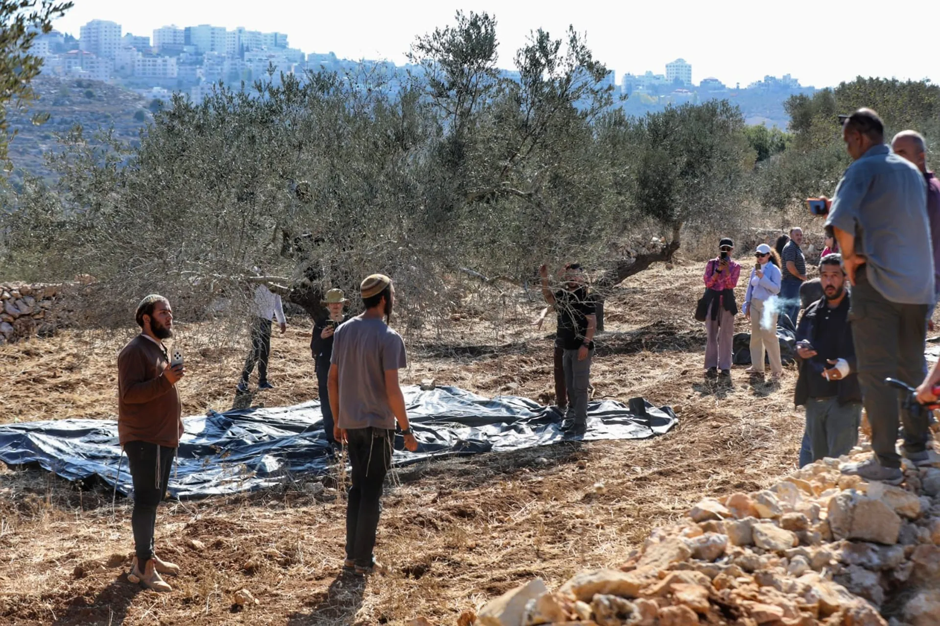مستوطنون ينهبون ثروة الفلسطينيين: سرقة ممنهجة للماشية