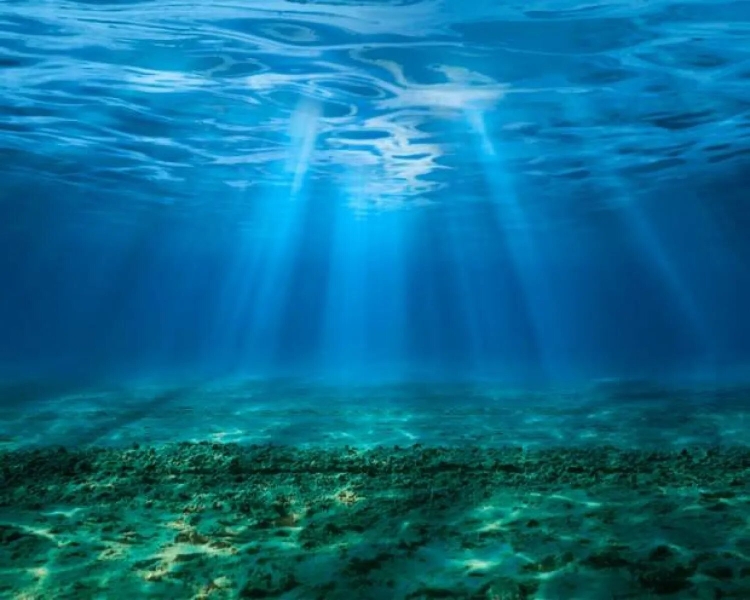 انهيار خفي تحت السطح: كيف تكشف ألوان المحيطات أزمة بيئية تهدد توازن الكوكب؟