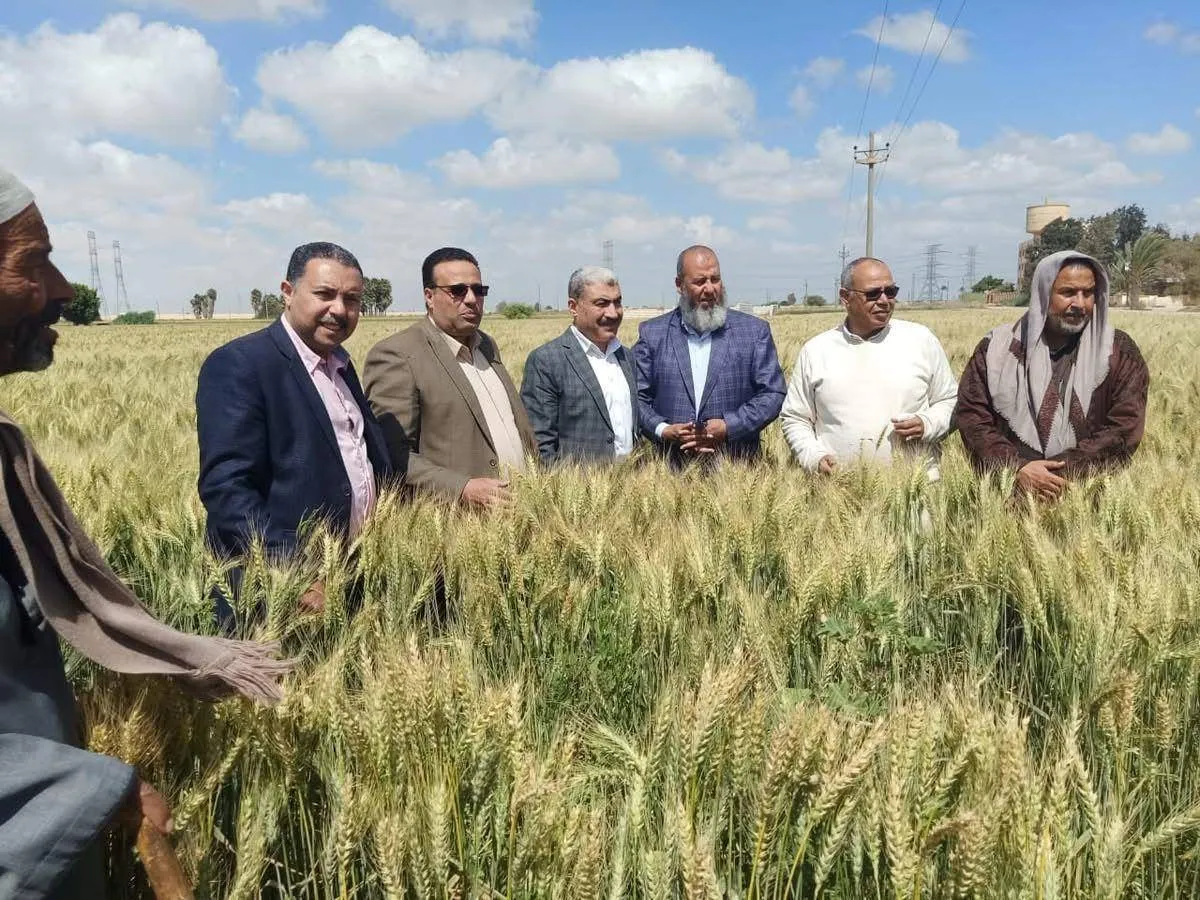 مخاوف من ارتفاع اسعار الغذاء في مصر بسبب تكلفة الزراعة