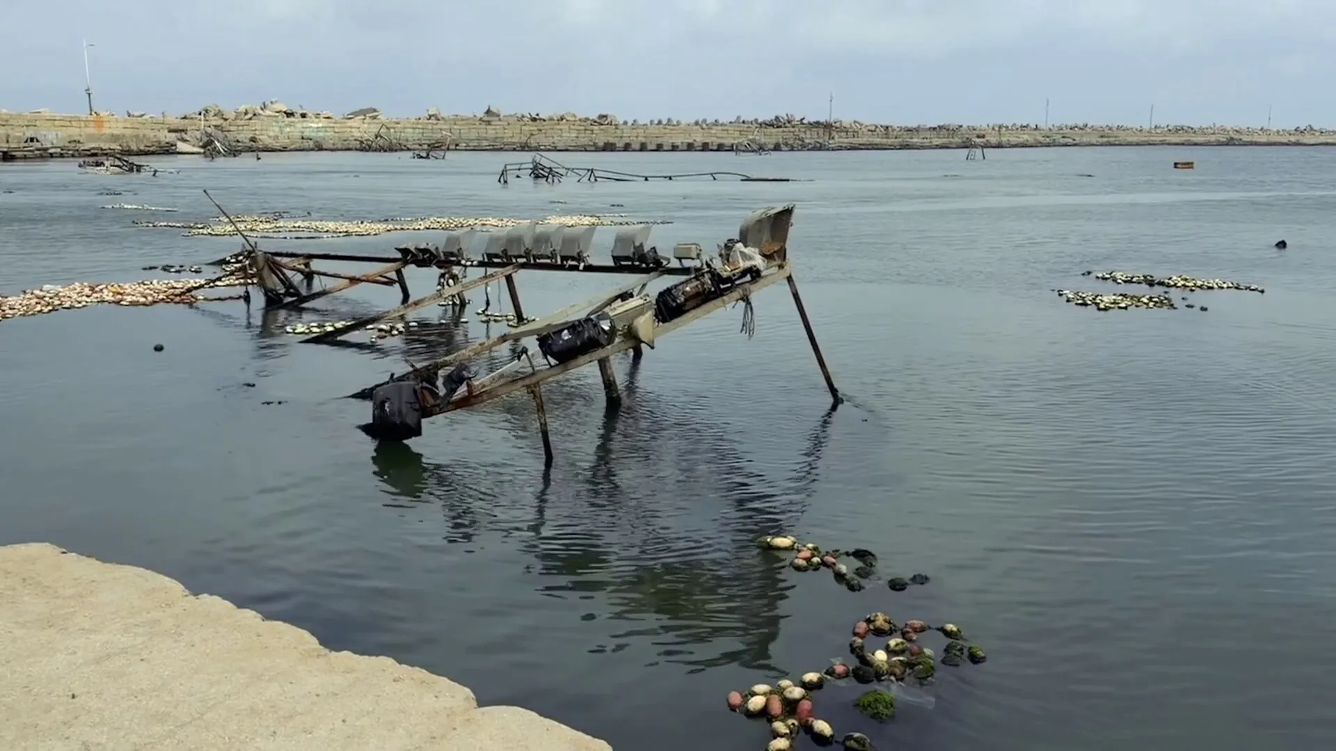 غزة: معاناة الصيادين تتفاقم تحت نيران الاحتلال