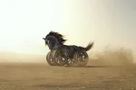 هل تفقد قوة الاحصنة بريقها في عصر السيارات الكهربائية؟