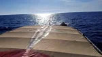 اسطول الصمود يكسر حصار غزة برسالة انسانية