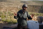 الخليل: مستوطنون ينهبون أضاحي العيد ويعتدون على رعاة الاغنام