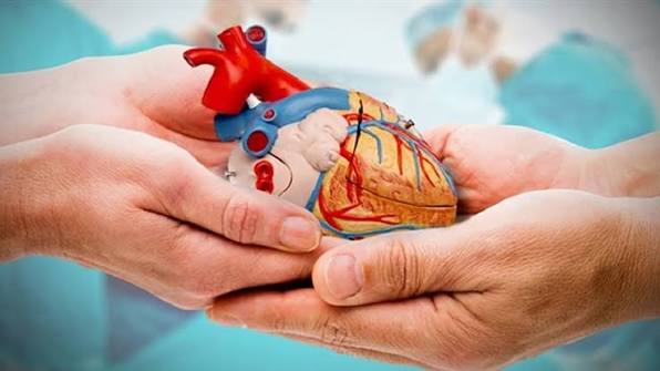 التبرع بالأعضاء.. بوابة الأمل أم محك الأخلاق؟